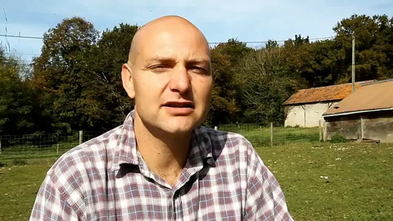 Buzz : Un chien de berger dressé pour réagir aux noms des politiques !