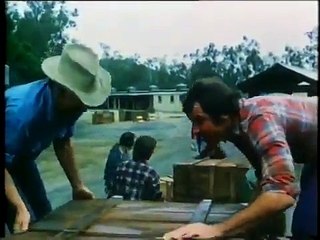 Happily Ever After (1978) Suzanne Somers, Bruce Boxleitner