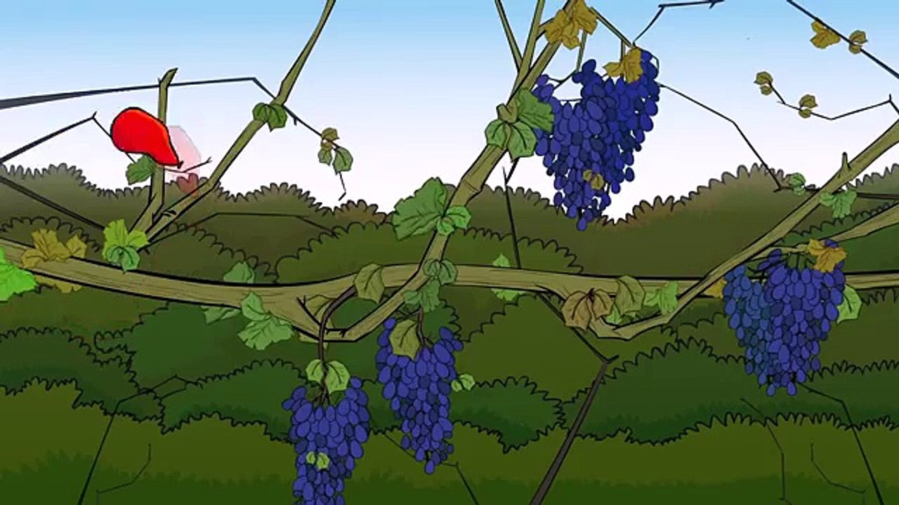 Sharp Optimised Managed Services