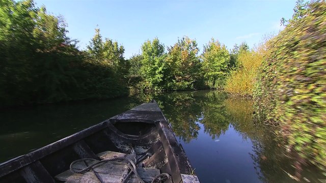 L'escute ou le bacôve, la star du marais audomarois