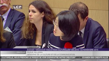 TRAVAUX ASSEMBLEE 14E LEGISLATURE : Projet de loi de finances pour 2016 : mission médias, livres et industries culturelles