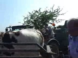 Etampage au Marais-Vernier