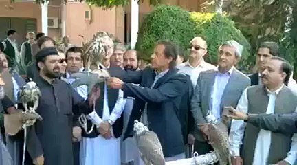 Imran Khan looking happy during setting free falcons in Peshawar today