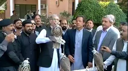 CM KP releasing endangered birds back