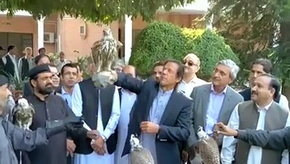 Exclusive Video of Imran Khan releasing the endangered birds in the wild