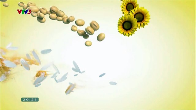 Quảng cáo trên tivi-Dầu ăn Neptune chiết xuất từ gạo, đậu nành và hướng dương tốt cho sức khỏe của bạn