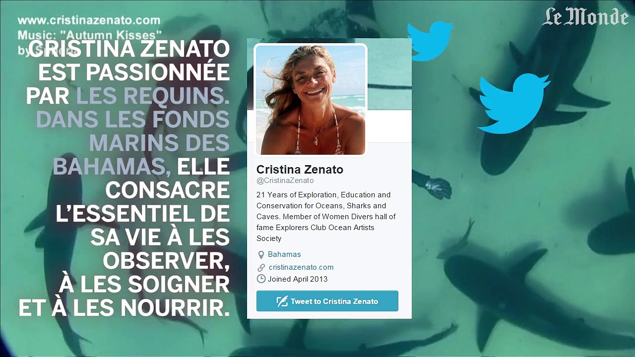 Danse avec des requins