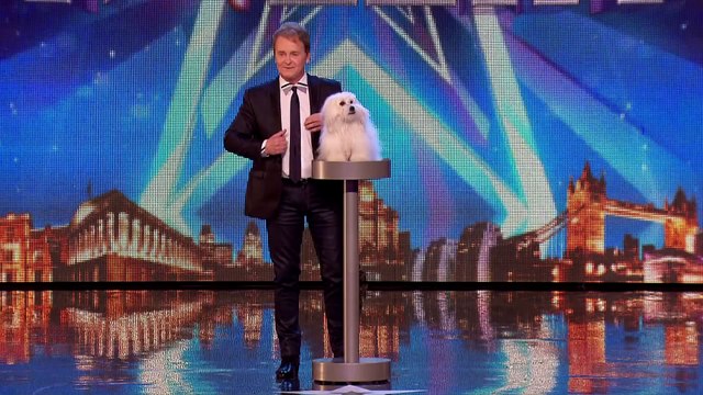 Marc Métral and his talking dog Wendy wow the judges - Audition Week 1 - Britain's Got Talent 2015