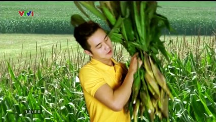 Quảng cáo trên tivi-Quảng cáo trà ngô nếp Minh Trung