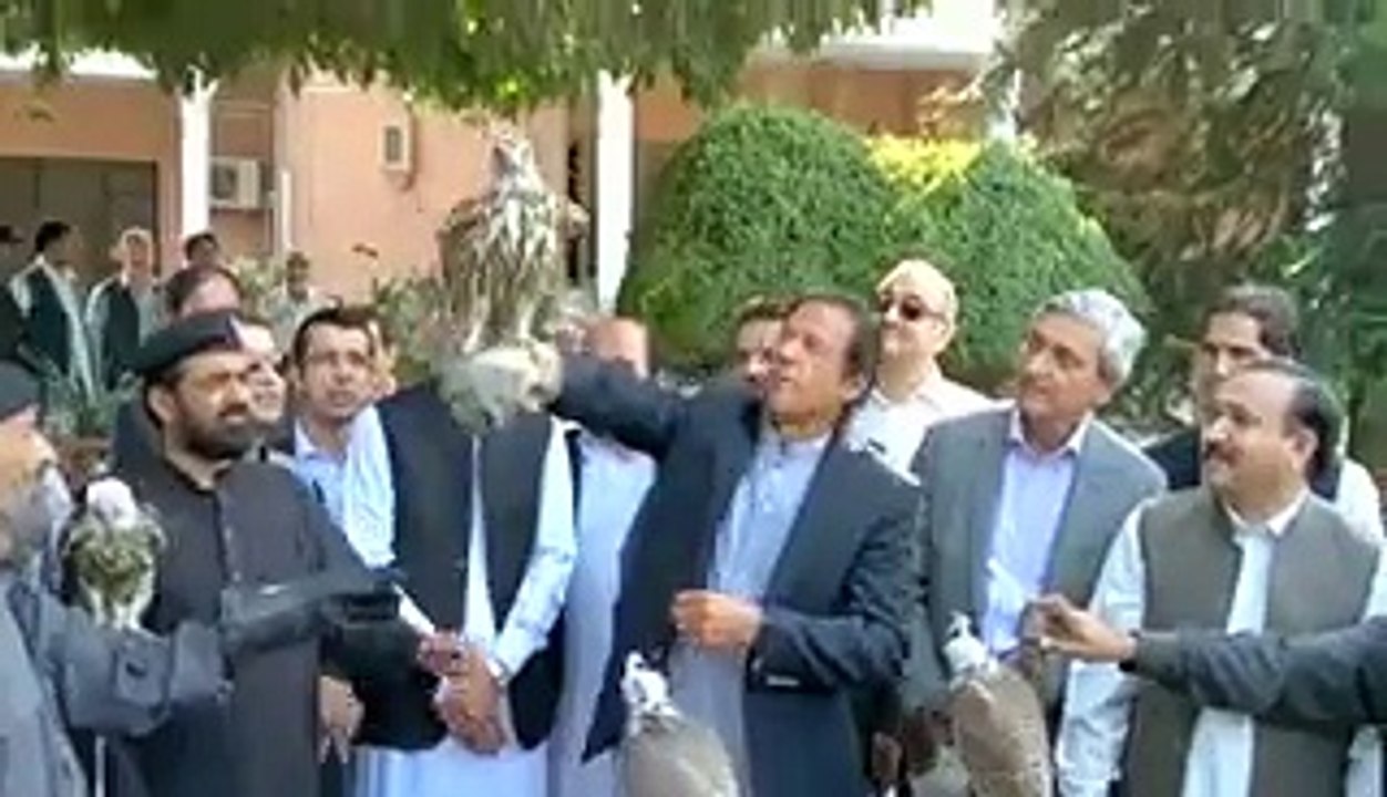 Imran Khan releases the endangered birds in the wild