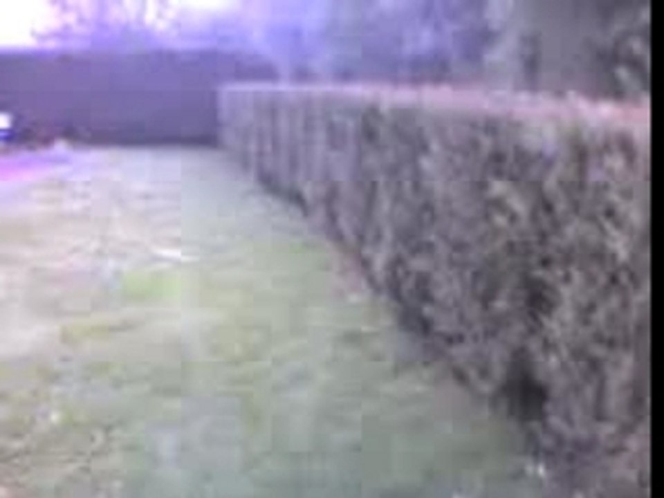 moi salto avant au dessu d1 sapin