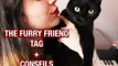 TAG : THE FURRY FRIEND TAG | Because Cats