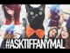 #ASKTIFFANYMAL + REPONSE FAQ | Because Cats