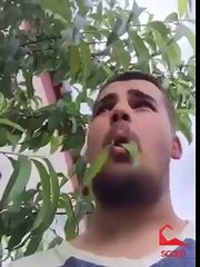 Scorp  vine Amaçsızca Bir Şey Yap