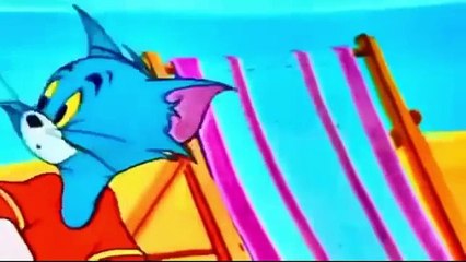 Tom ve Jerry Maceraları