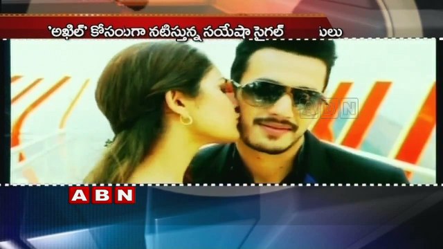 Akhil movie release date confirmed Nagarjuna