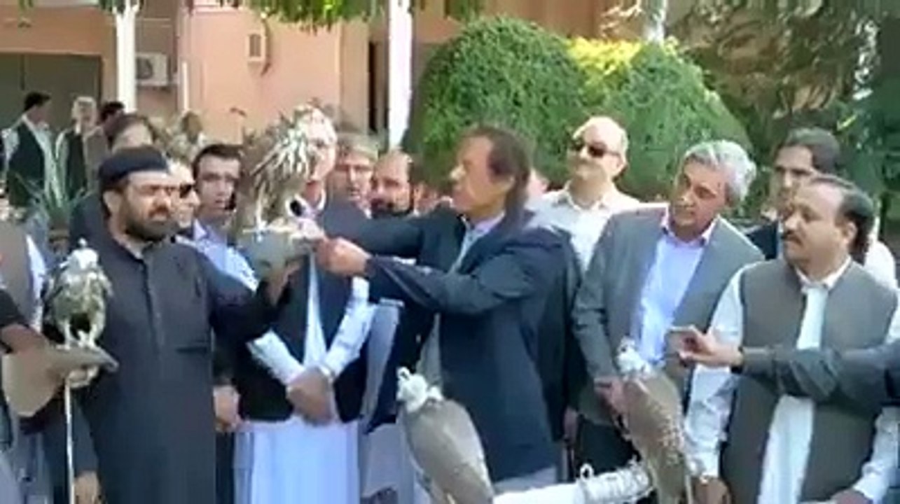 Chairman Imran Khan releases the endangered birds in the wild!