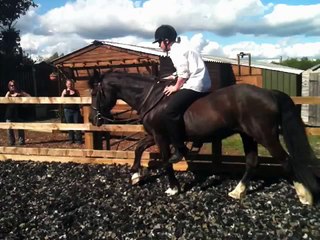 Epic Horse Riding Fails Compilation : Funny Video