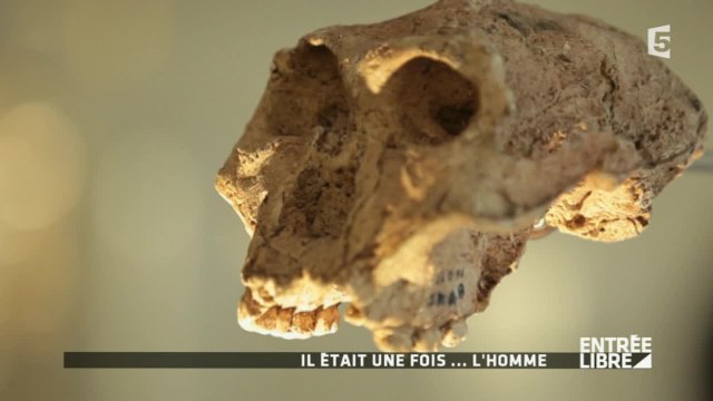 Le Musée de l'Homme rouvre ses portes - Entrée libre