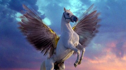 HHRD Cricket Team ( Burraq 11)