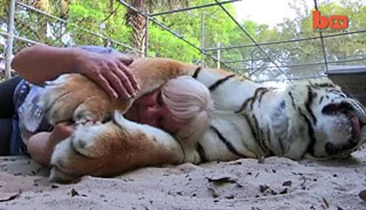 Lion attack on innocent girl