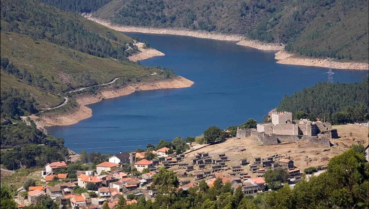 Martillo Vago- Que es la vida