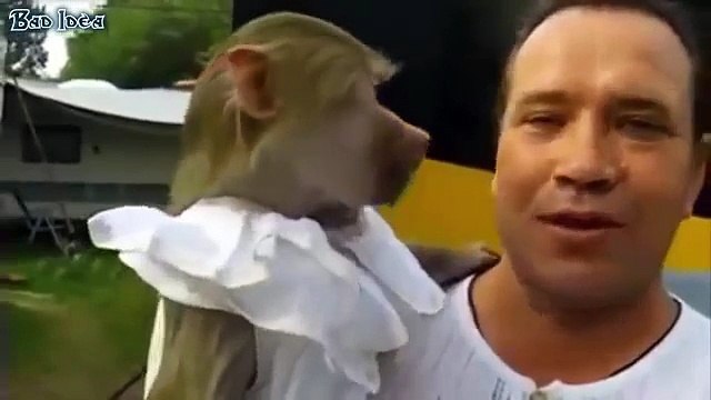 Funny videos - Animals making funny sound and noises - Funny and cute animals Compilation