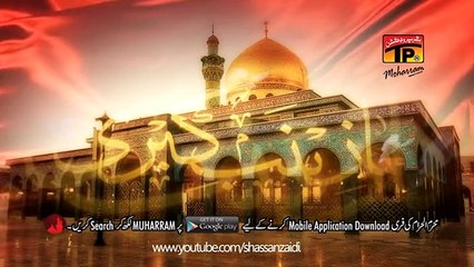 Zainab Ye Keh Na Paain - Wajhi Hassan Zaidi - Official Video