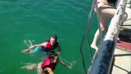 Дельфин знает что делает