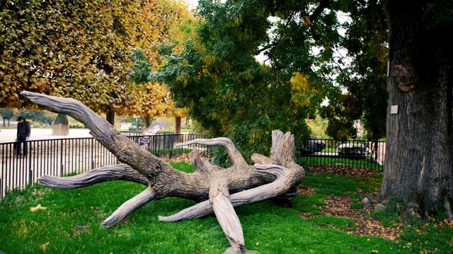 L'objet du doute - FIAC Hors les murs au Jardin des Plantes