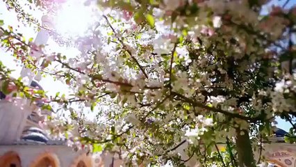 Mashallah Beautifull Naat  By Mishary