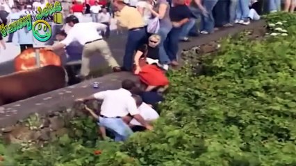 Best Funny Animals Videos 2015 Best crazy bullFighting festival