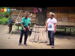 Harimau memburu anjing di Post Kemar