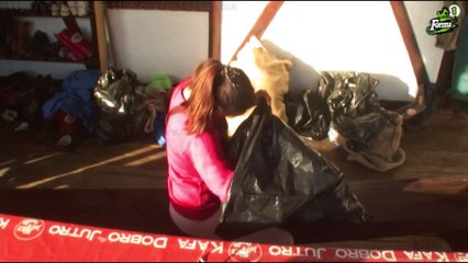 Farma 6 (03/11/2015 14:39:31 - 15:36:28)