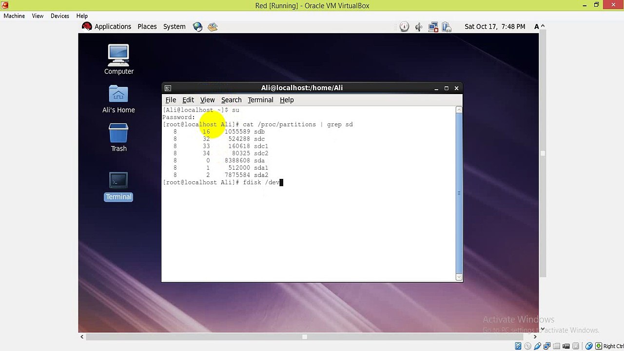 how to delete a partiton in linux red hat