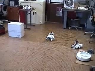 Visual Homing with aibo robot