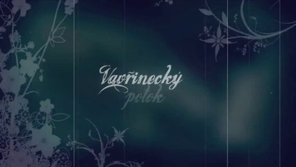 Vavřinecký potok 2010
