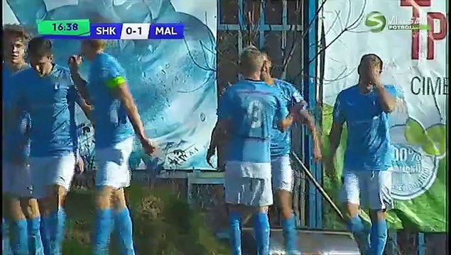 Shakhtar Donetsk U19 vs. Malmö FF U19 3 - 1 All Goals ( UEFA Youth League - 3 November 2015)