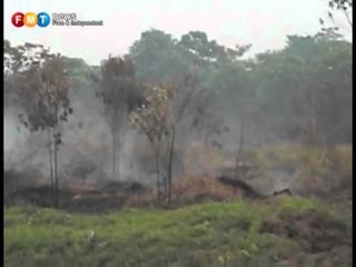 Kuala Langat forest fire ..more than a week