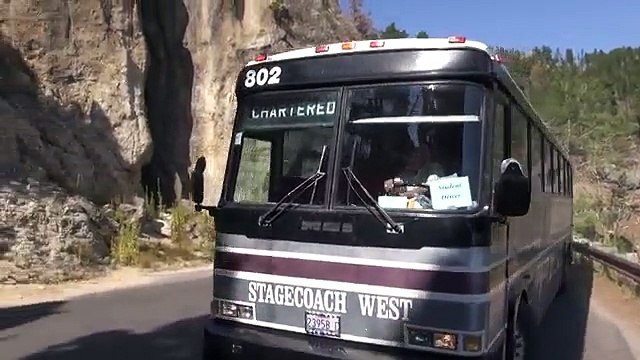Bus-fhrt-durch-den-Tunnel-am-Needles-Highway