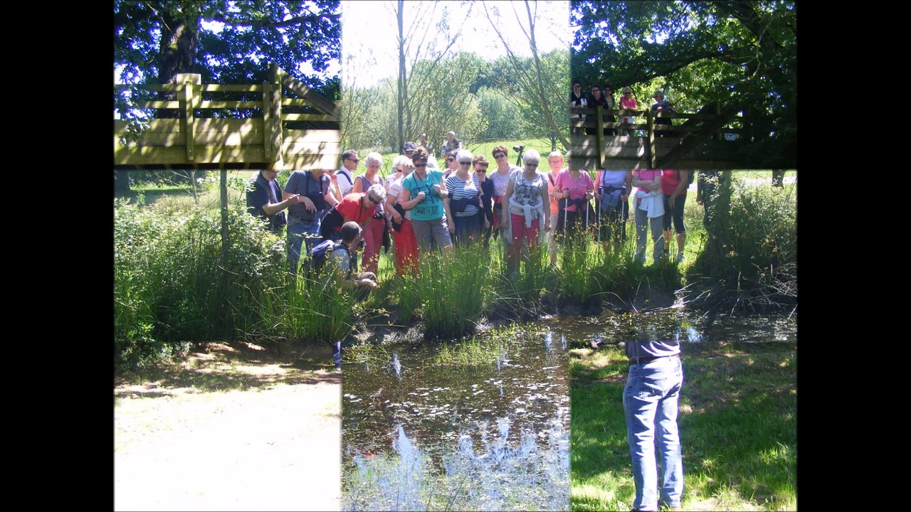 chemin faisant pescalis juin 2015