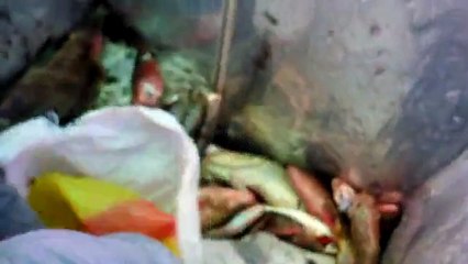 fishing at charna island