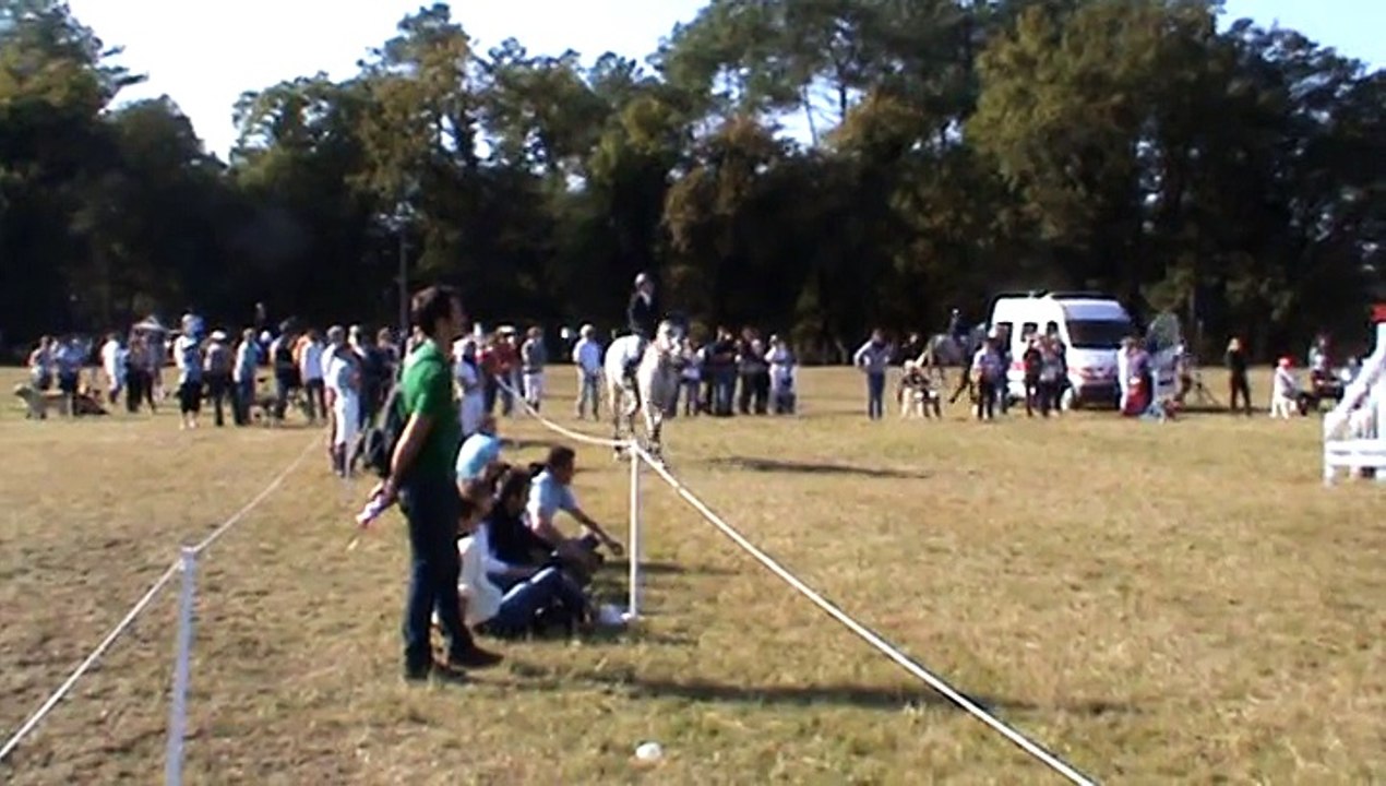 Margot cso Tartas 2015