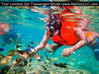 gili trawangan lombok