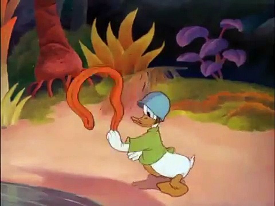 Donald Duck Commando Duck Episode