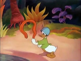 Donald Duck Commando Duck Episode