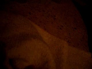 Speedy gonzales video