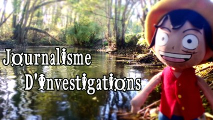 Les pieds sur terre, la tête haute : Journalisme d'investigation