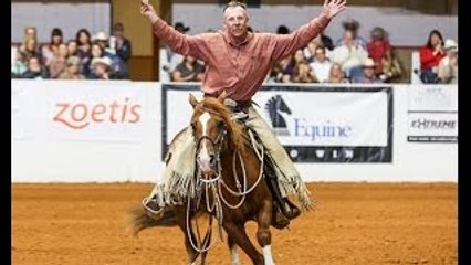 Domando Cavalos - Mustang Millionaire faltando 15 dias