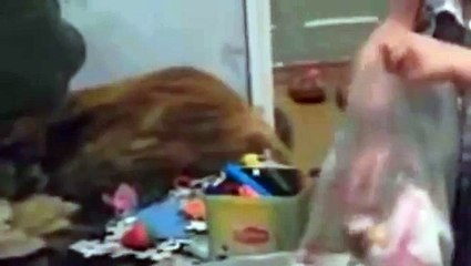 Кто должен собирать игрушки? МЕГА ПРИКОЛ))